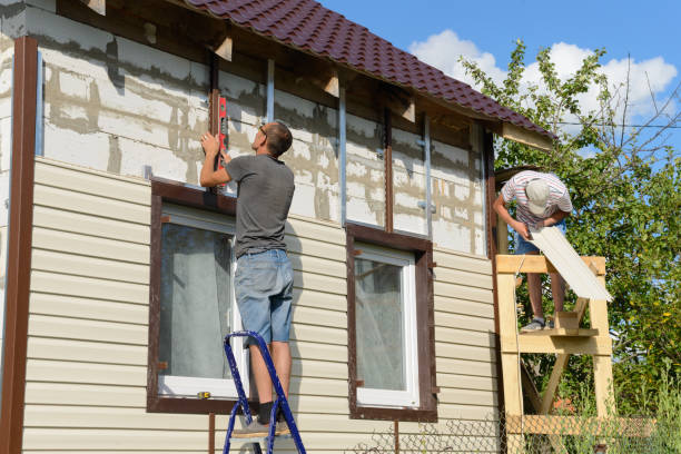 Best Custom Trim and Detailing for Siding  in Brigham City, UT