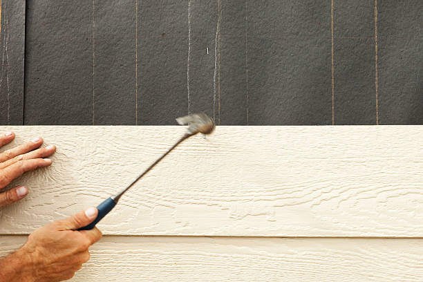 Best Stucco Siding  in Brigham City, UT
